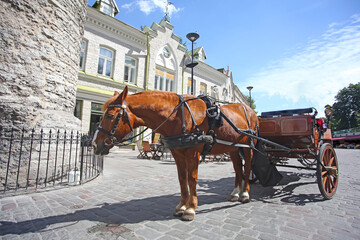 Fototapeta na wymiar Horse & cart next to the city gates of the old town, in the historic medieval downtown area of the city, Tallinn, Estonia.