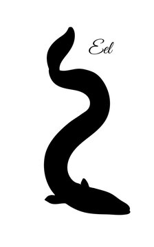 Silhouette of japanese eel