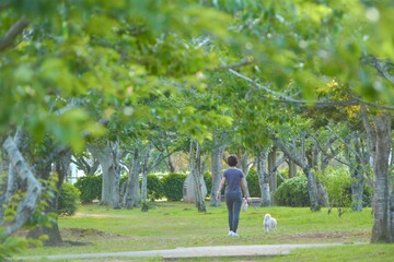 新緑の公園を歩く女性