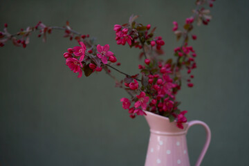 twig of paradise apple tree in a pink vase 