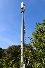 Mobile network tower hidden away in woodland. Clear against a summer sky.