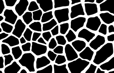 Obraz premium black white animal skin texture giraffe pattern repeat seamless print