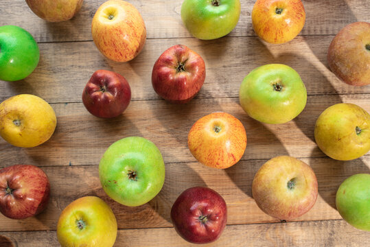 Tasty green, yellow and red apples. Healthy and nutritious food
