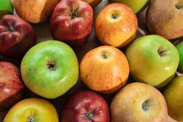 Tasty green, yellow and red apples. Healthy and nutritious food