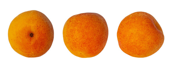 Apricots isolated set on white background. Healthy food clipart for product design and patterns. Three orange color fruits isolate front back and top view.