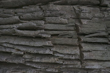 wood texture with natural pattern for background.