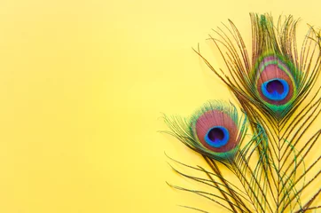 Foto op Plexiglas peacock feather close up © Вадим Скрыпка