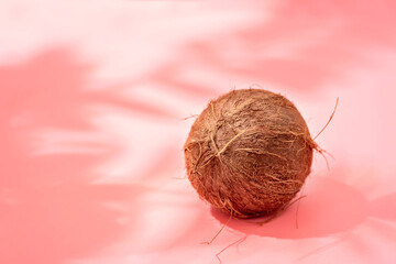 Full coconut with shadow over background