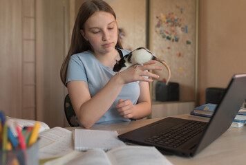 Teenager girl, video broadcast to girlfriends and friends of pet, plays animal, rat home mouse, video tutoring lessons, home education, preparation for college and school. Video conference Internet.