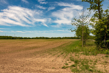 Fototapeta na wymiar Farm land, Ontario, Canada. View of freshly planted fields..