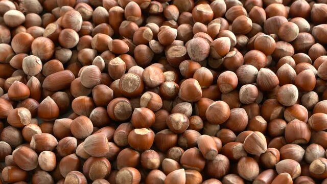 hazelnuts fall to the ground in slow motion. slow motion nuts. turkish nuts fall close-up cinematic sequence