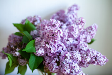 Bouquet of lilac lilacs 