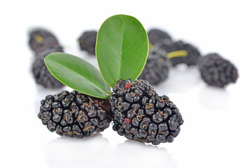 Morus (mulberry) and green leaf on white background