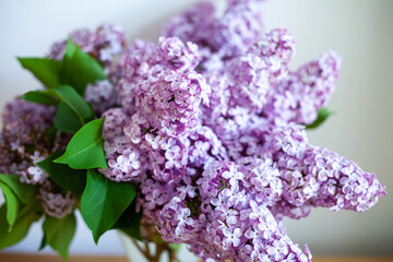 Bouquet of lilac lilacs 