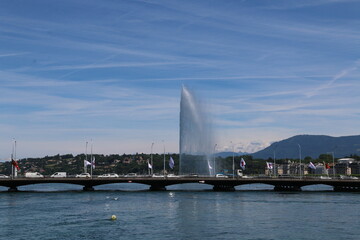 mare
