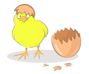 Vector illustration of a baby chick