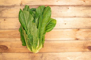 Green ripe and tasty romaine. Healthy food