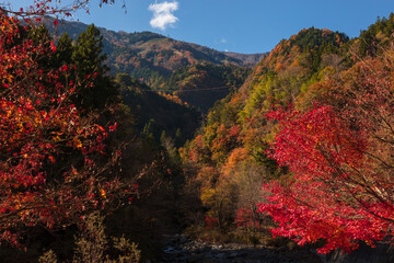 【2019年】山梨県富士川町・大柳川渓谷