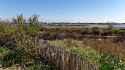 Sand dunes of  the Madrague beach in the Giens peninsula 