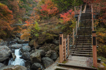 【2019年】山梨県富士川町・大柳川渓谷