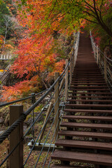 【2019年】山梨県富士川町・大柳川渓谷