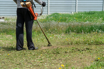 a man mows grass and dandelions with a trimmer in his garden plot.