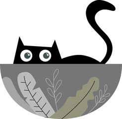 cat in a bowl
