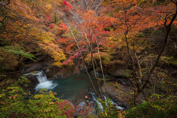 【2019年】山梨県富士川町・大柳川渓谷