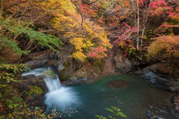 【2019年】山梨県富士川町・大柳川渓谷