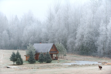 A house on the edge of the forest next to the pond. Surrounded by frosted trees in complete silence...