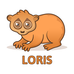 Cute loris sitting. Colorful flat vector illustration with outline, isolated on white background.