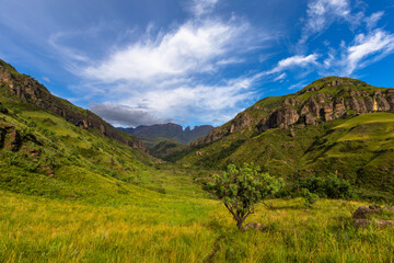Green grass in the valley and clouds in the blue sky