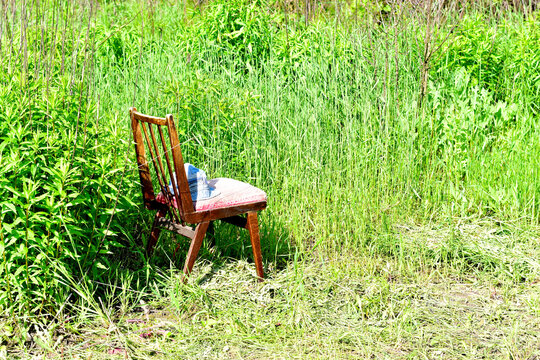 A Lone Chair Stands In The Garden On The Grass.