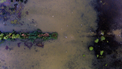 Top view of a beautiful landscape with grass and marshland