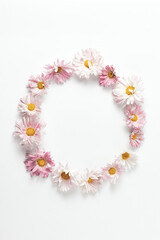 round flower frame. composition pink chrysanthemums on a white background.minimal concept, flat lay, vertical frame