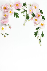 Naklejka na ściany i meble flower frame layout. beautiful pink chrysanthemums and green leaves on a white background. flat lay, space for a text, vertical frame