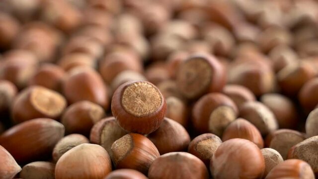 Nuts focus on close-up. turkish hazelnuts cinematic sequence. organic dried nuts. Food video close up shot