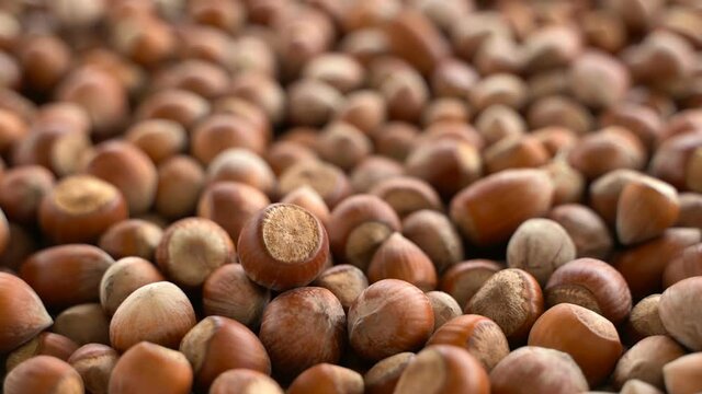 Nuts focus on wide angle. turkish hazelnuts cinematic sequence. organic dried nuts. Food video shoot close up