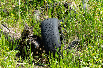 Fototapeta na wymiar car tires thrown on the green grass