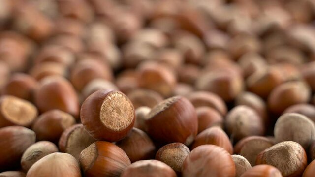 Nuts focus on close-up. turkish hazelnuts cinematic sequence. organic dried nuts. Food video close up shot