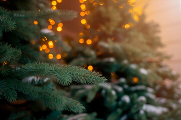 Christmas atmosphere on the street. Christmas decorations in the street, Christmas trees decorated...