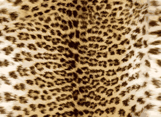 Seamless leopard pattern, luxury background