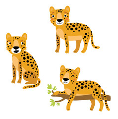 Cute leopard, vector character set. - 356151861