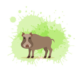 Forest animals with foot prints cartoon style colorful vector illustration.