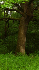 Naklejka premium YI DIGITAL CAMERA