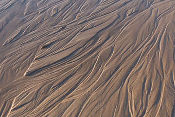 Close up image looking down on patterns in a wet sandy beach, showing textures, shapes and ripples