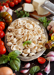 Fresh raw  italian pasta orecchiette, vegetables, herbs and olive oil