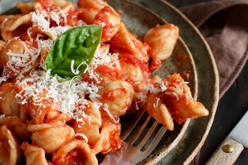 South italian pasta orecchiette with tomato sauce and cacioricotta cheese