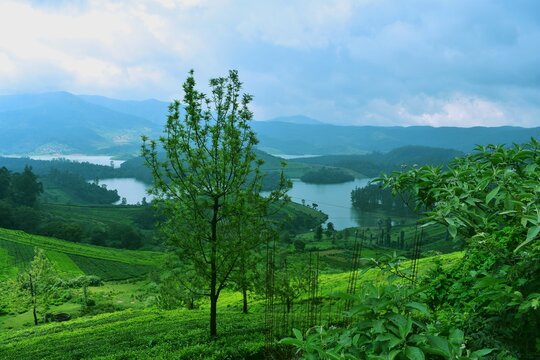 Wayanad Vector Wayanad Images – Browse 1,393 Stock Photos, Vectors, and Video | Adobe ...