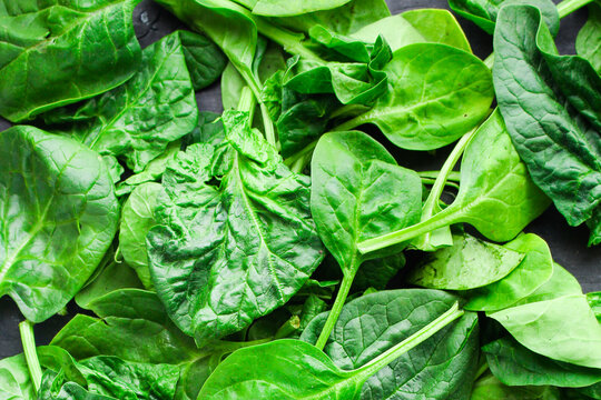 spinach green fresh leaves the petals snack vegetables bush green stems and petals Menu concept serving size. food background top view copy space for text keto or paleo diet 